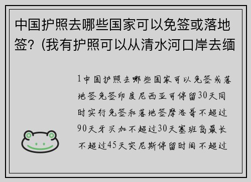 中国护照去哪些国家可以免签或落地签？(我有护照可以从清水河口岸去缅甸吗？)